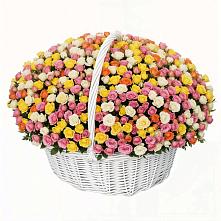 Премиум букет из: Розы в Качуге