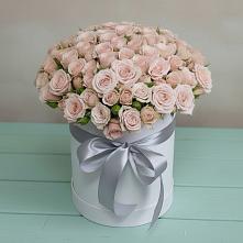 Цветочная композиция из Розы в шляпной коробке #REPLACE_PRED# Качуге