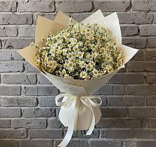 Букет цветов из:  Ромашки в Качуге