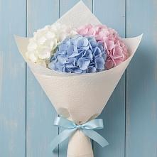 Букет цветов из:  Гортензия в Качуге