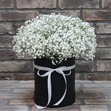Цветочная композиция из Гипсофила в шляпной коробке в Качуге