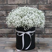 Цветочная композиция из Гипсофила в шляпной коробке в Качуге