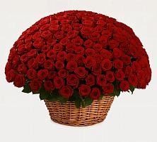 Премиум букет из: Розы в Качуге