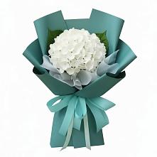 Букет цветов из:  Гортензия в Качуге